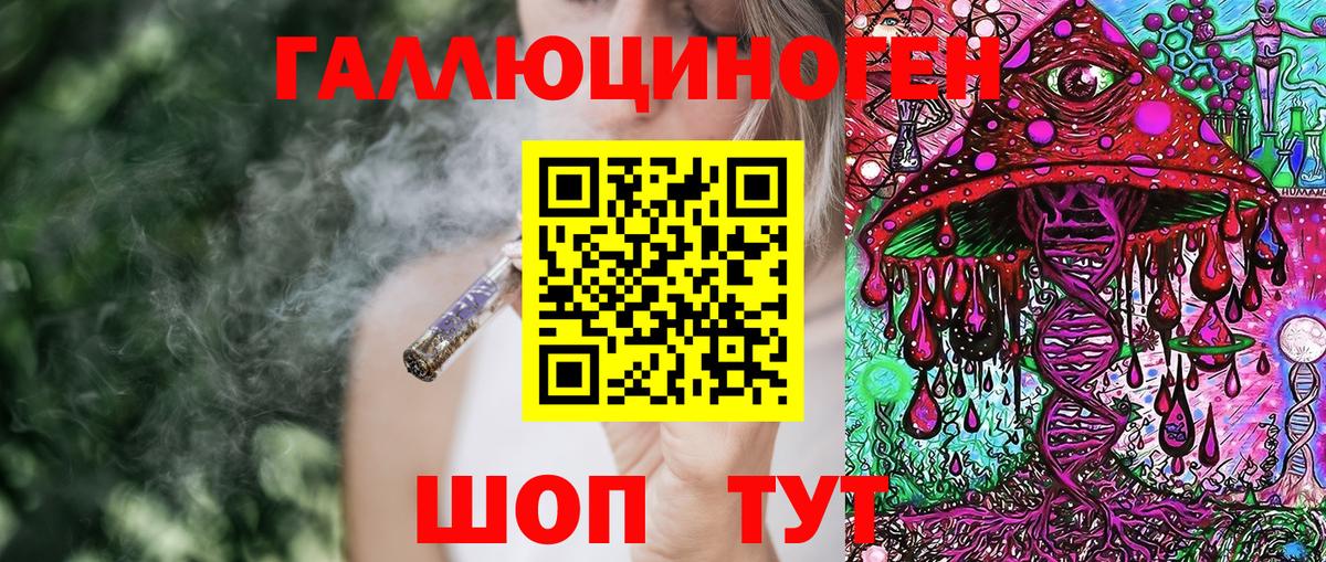 Галлюциногенные грибы Psilocybe  Псилоцибиновые грибы MAGIC MUSHROOMS  Курчалой  Вход с VPN 