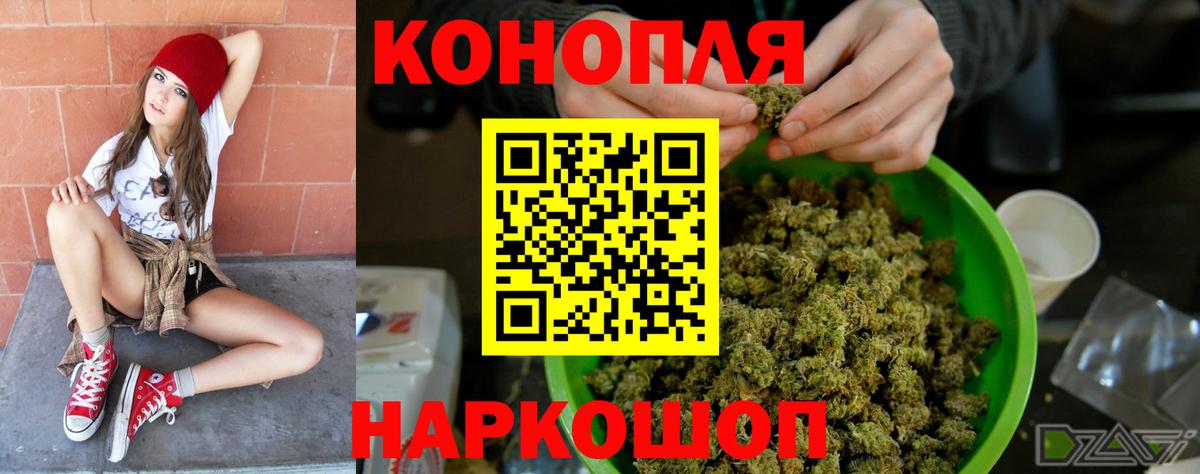 Шишки марихуана Bruce Banner  Вход с VPN  Марихуана гибрид  Бошки Шишки Bruce Banner  Бошки Шишки сатива  Курчалой 