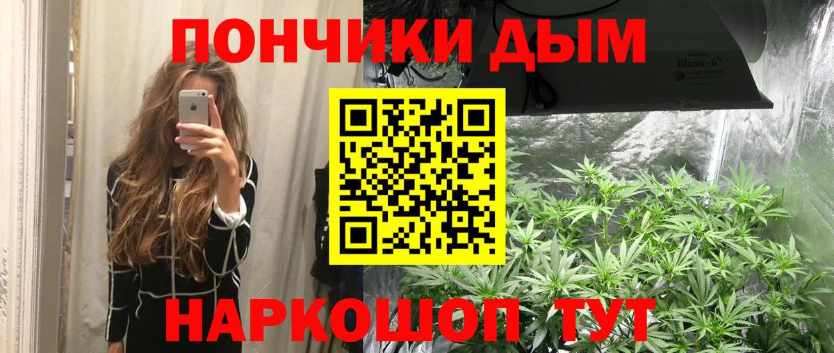 Канабис план Курчалой